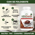 AdioPloșnițe - Protectie eficienta impotriva plosnitelor