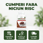 AdioPloșnițe - Protectie eficienta impotriva plosnitelor
