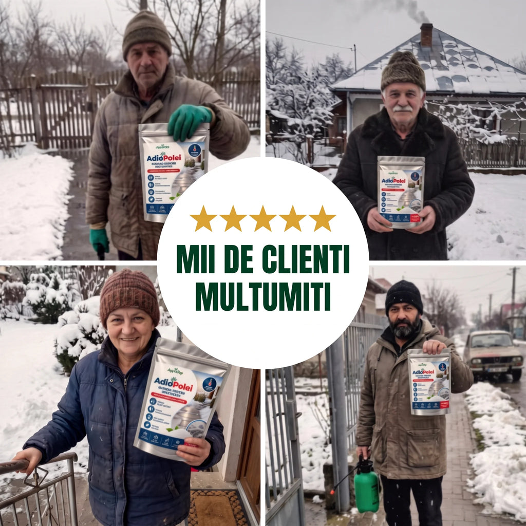 AdioPolei - Solutie pentru dezghetat, 250g