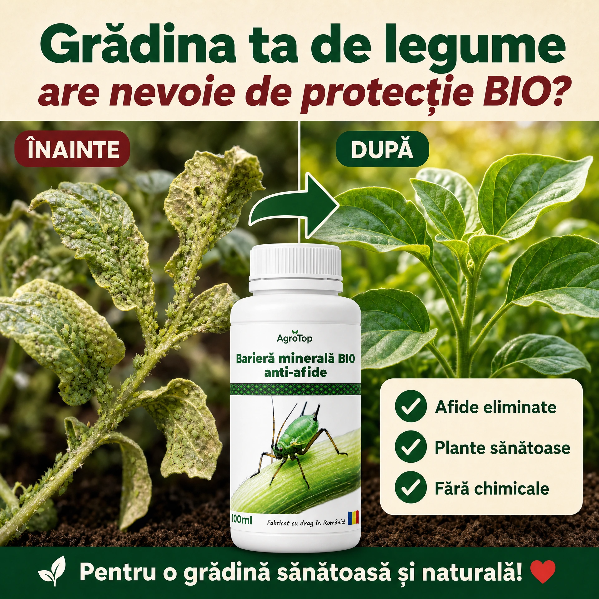 Bariera minerala BIO anti-afide