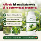 Bariera minerala BIO anti-afide