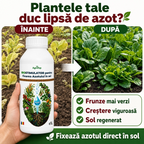 Biostimulator pentru fixarea Azotului in sol, 1L