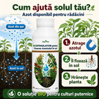 Biostimulator pentru fixarea Azotului in sol, 1L