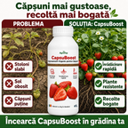 CapsuBoost, 1L