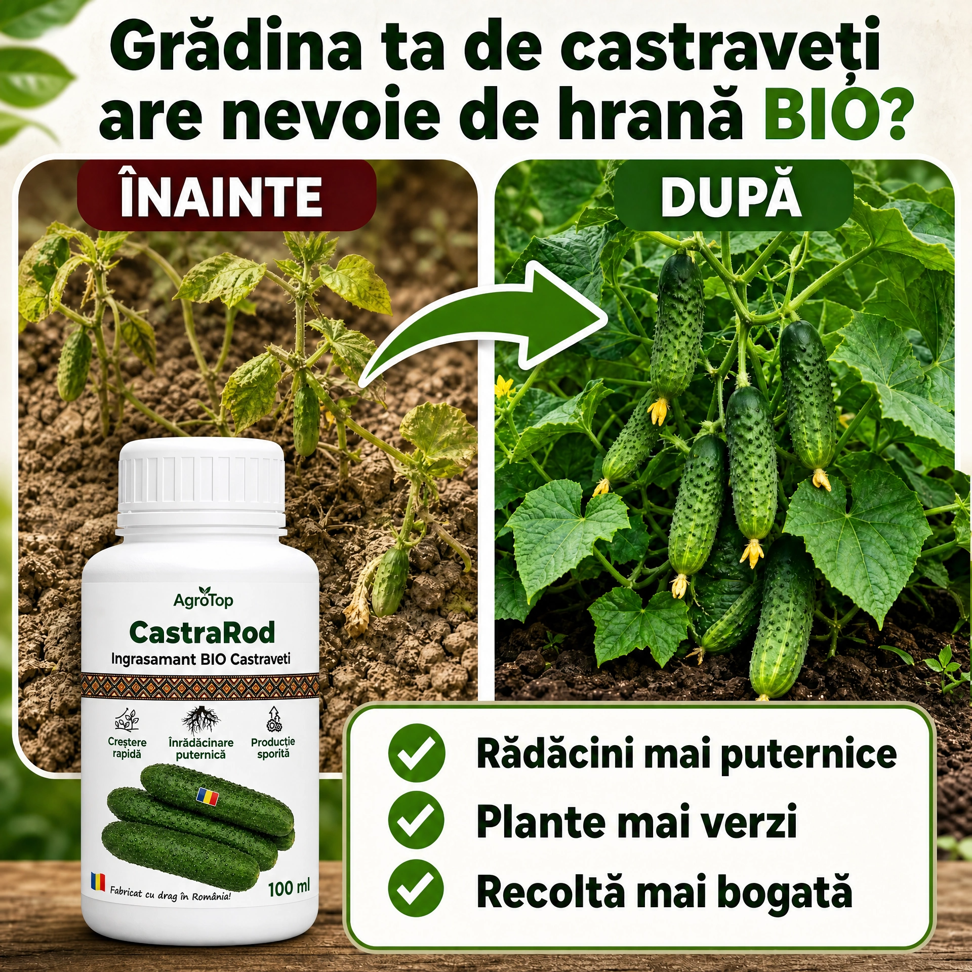 CastraRod, 100ml