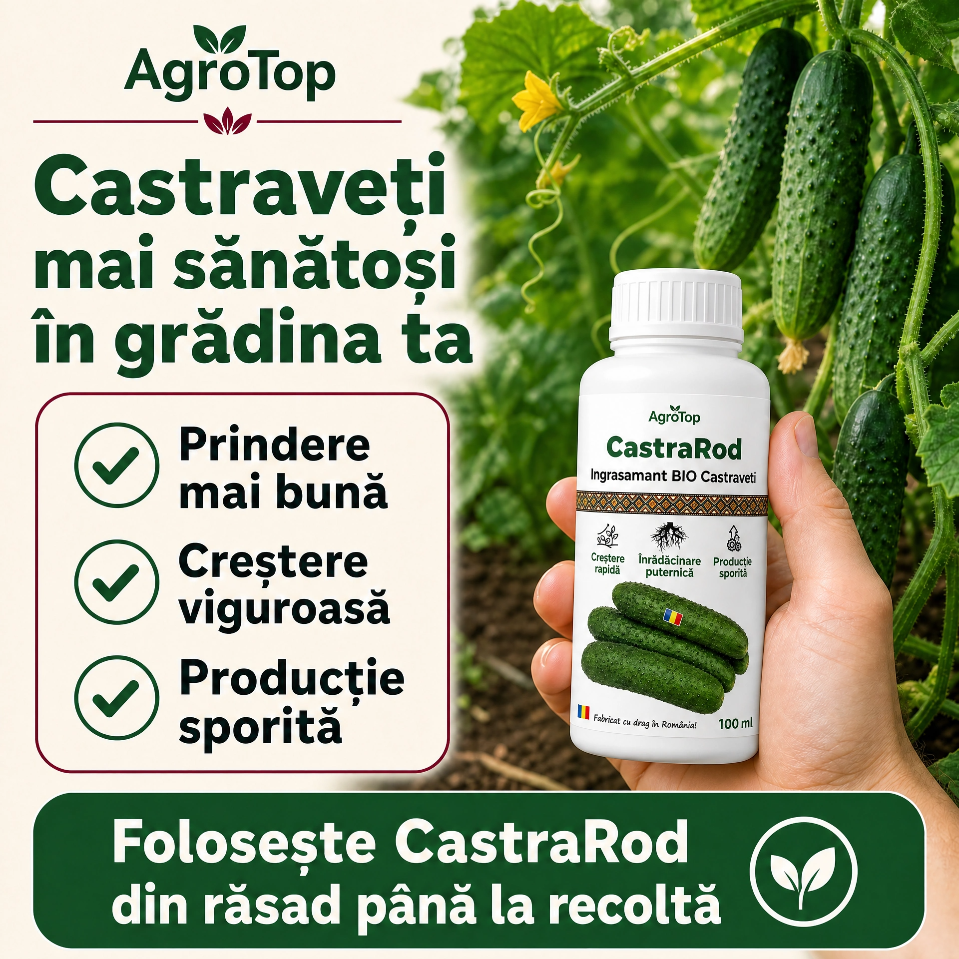 CastraRod, 100ml