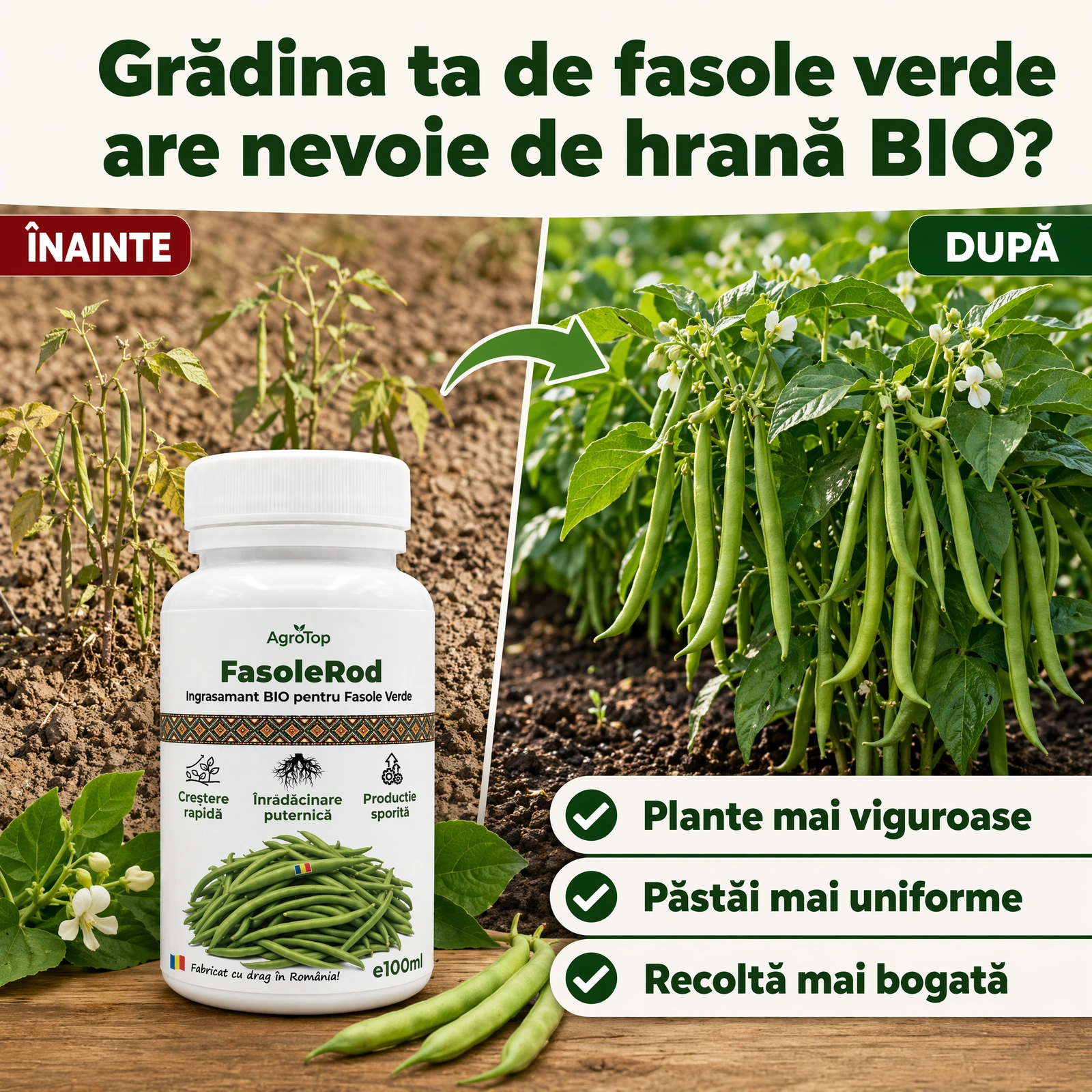 FasoleRod, 100ml