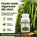 FasoleRod, 100ml