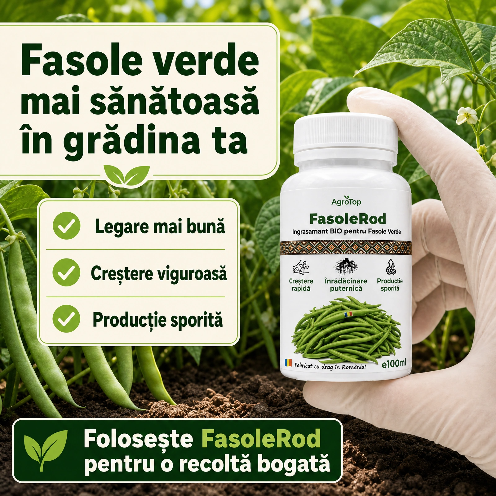 FasoleRod, 100ml