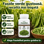 FasoleRod, 100ml