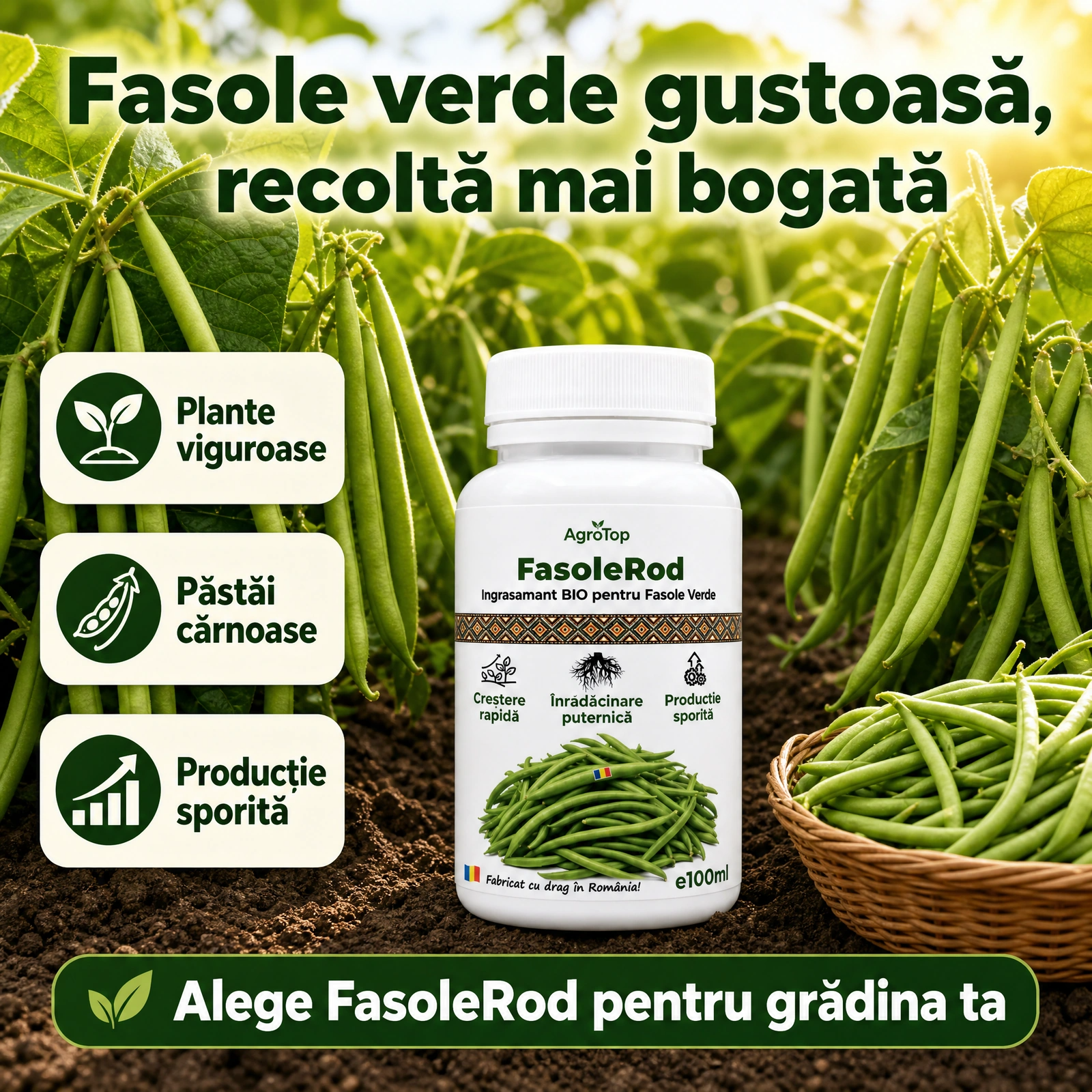 FasoleRod, 100ml