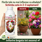 Ingrasamant BIO universal pentru flori, 1L