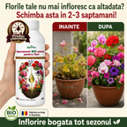 Ingrasamant BIO universal pentru flori, 1L