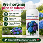 Fertilizator lichid pentru hortensii, 1L