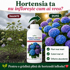 Fertilizator lichid pentru hortensii, 1L