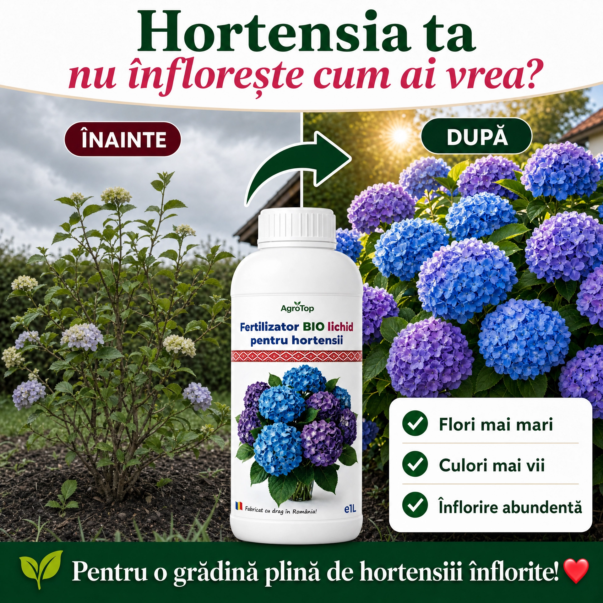 Fertilizator lichid pentru hortensii, 1L
