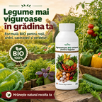 Ingrasamant BIO universal pentru legume, 1L - l