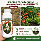 Ingrasamant BIO universal pentru legume, 1L