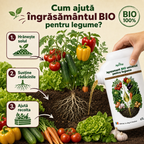 Ingrasamant BIO universal pentru legume, 1L