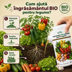 Ingrasamant BIO universal pentru legume, 1L - l