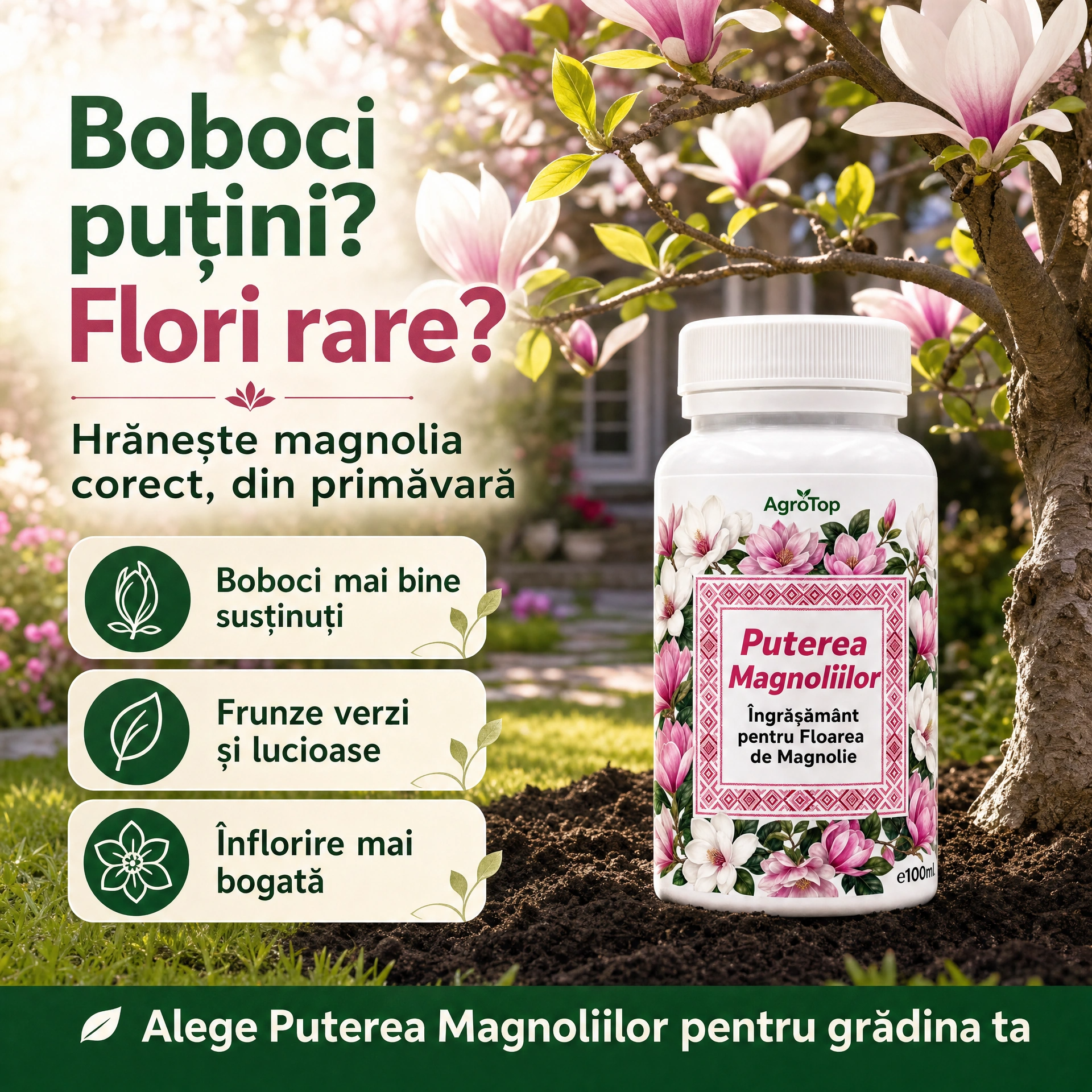 Puterea Magnoliilor, 100ml