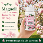 Puterea Magnoliilor, 100ml