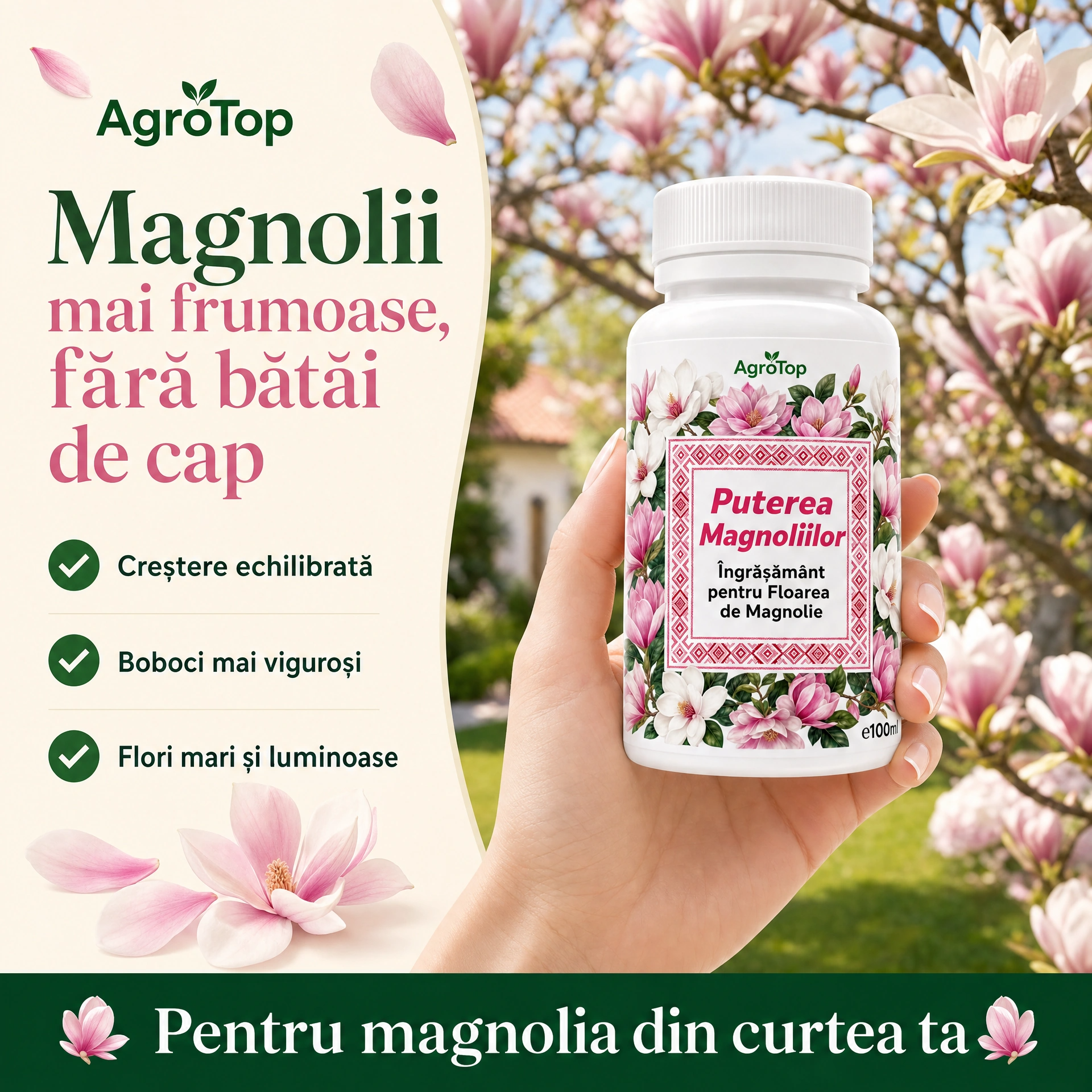 Puterea Magnoliilor, 100ml
