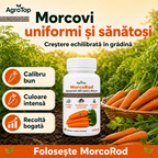 MorcoRod, 100ml