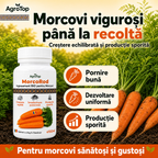 MorcoRod, 100ml