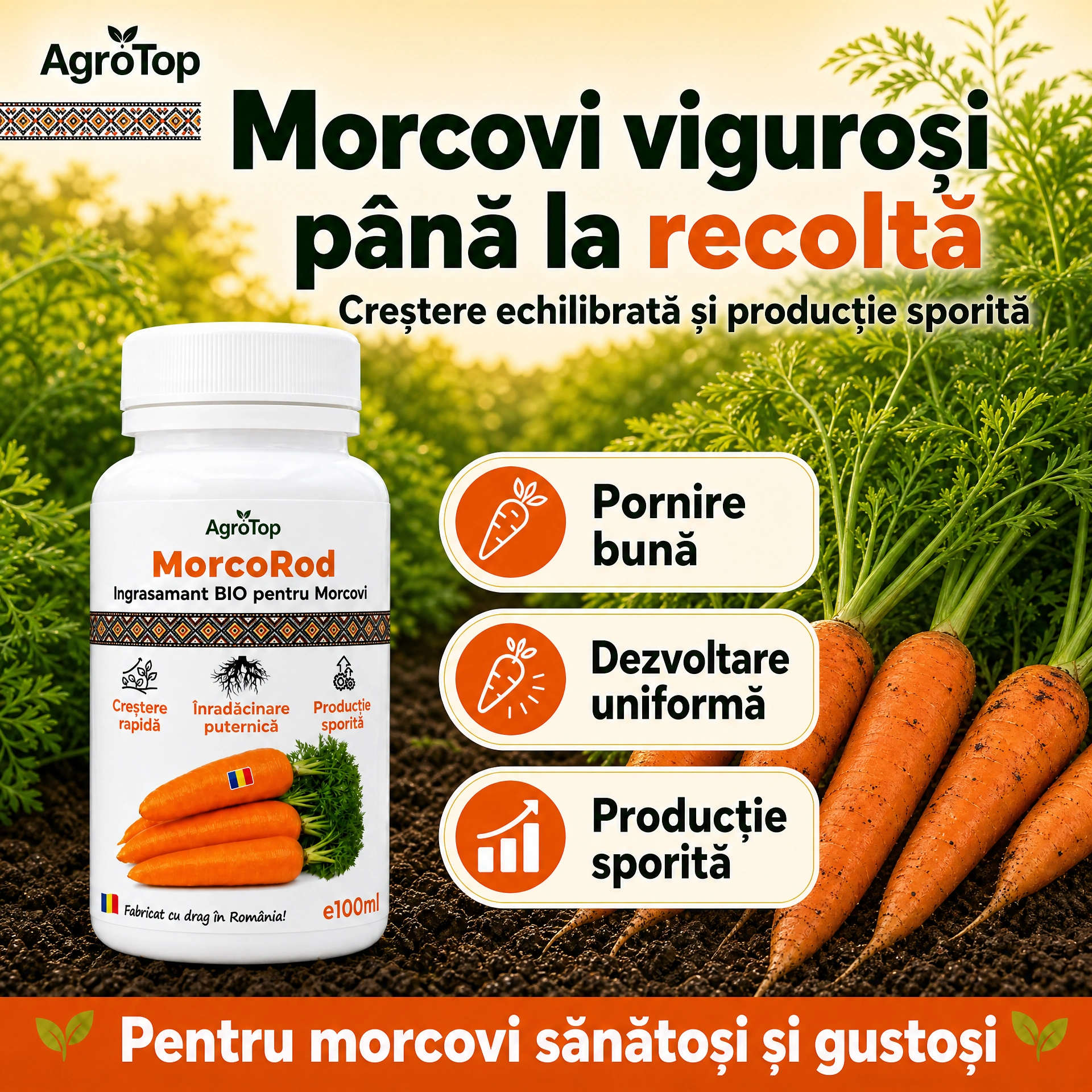 MorcoRod, 100ml