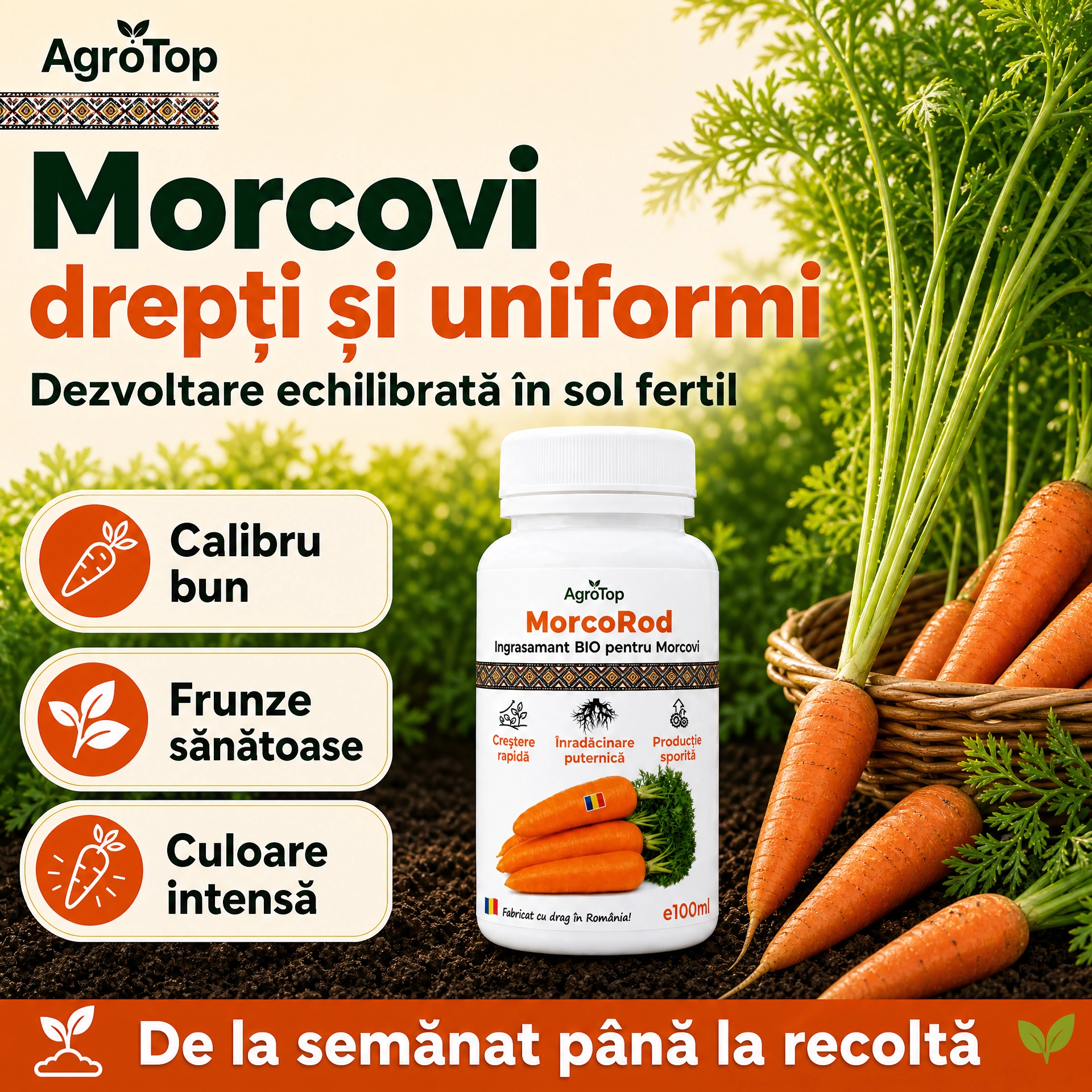 MorcoRod, 100ml