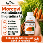 MorcoRod, 100ml