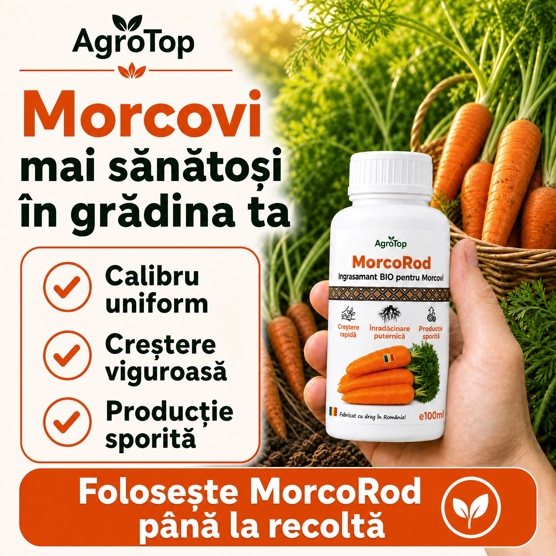 MorcoRod, 100ml