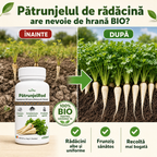 PatrunjelRod, 100ml