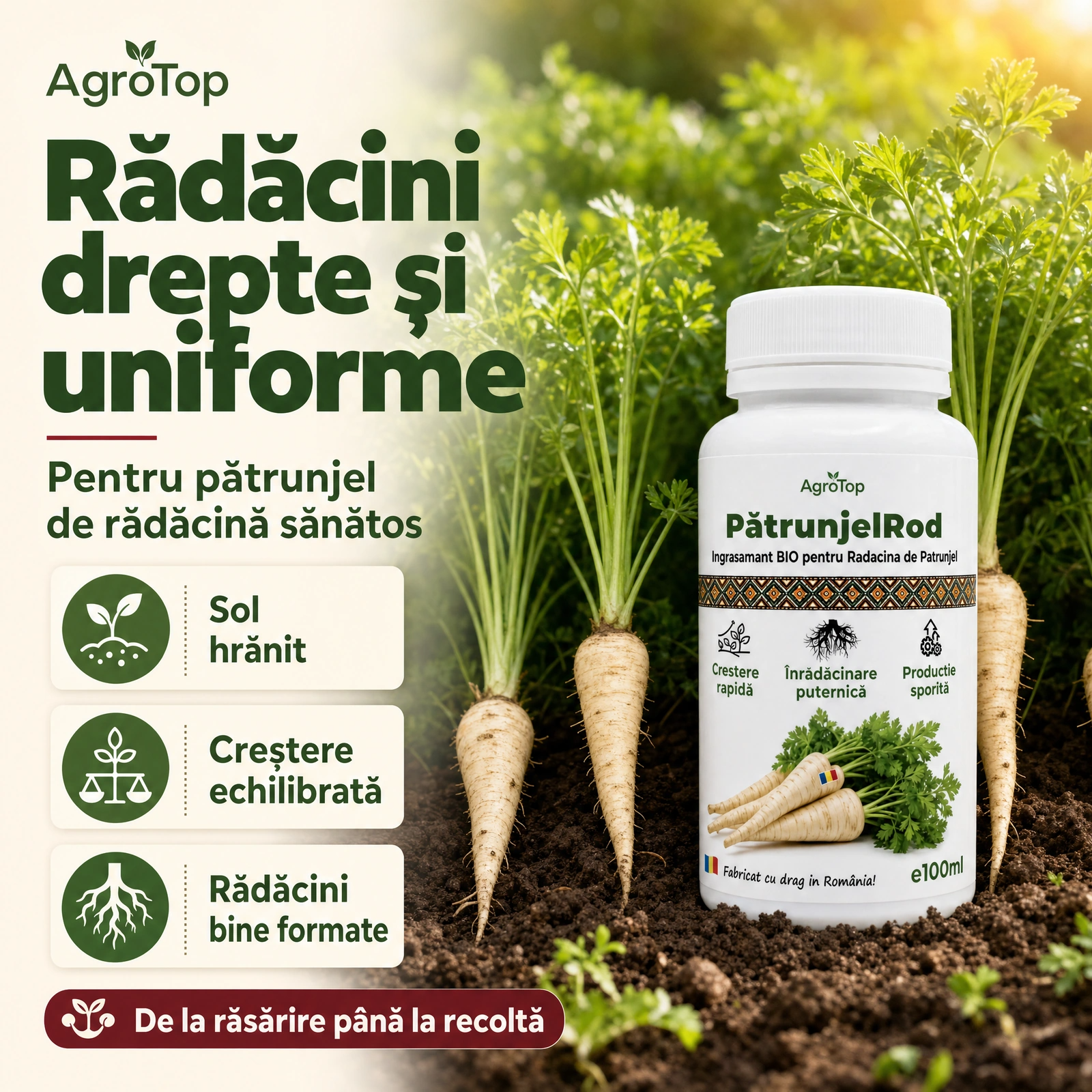 PatrunjelRod, 100ml