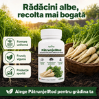 PatrunjelRod, 100ml