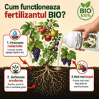 Fertilizant BIO pentru pomi fructiferi si vita de vie, 1L
