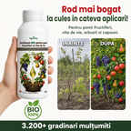 Fertilizant BIO pentru pomi fructiferi si vita de vie, 1L