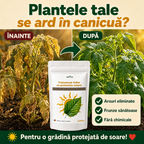 Tratament foliar cu protecție solară, 200g