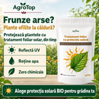 Tratament foliar cu protecție solară, 200g