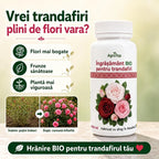 Îngrășământ BIO pentru trandafiri cu înflorire bogată, 100 ml