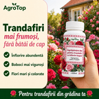 Îngrășământ BIO pentru trandafiri cu înflorire bogată, 100 ml
