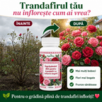 Îngrășământ BIO pentru trandafiri cu înflorire bogată, 100 ml