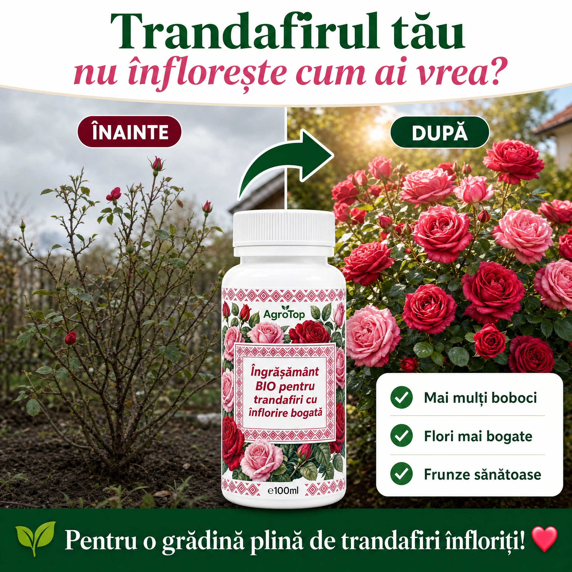 Îngrășământ BIO pentru trandafiri cu înflorire bogată, 100 ml