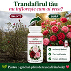 Îngrășământ BIO pentru trandafiri cu înflorire bogată, 100 ml