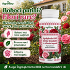 Îngrășământ BIO pentru trandafiri cu înflorire bogată, 100 ml