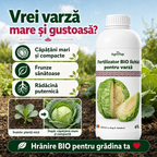 Fertilizator lichid pentru varză, 1L