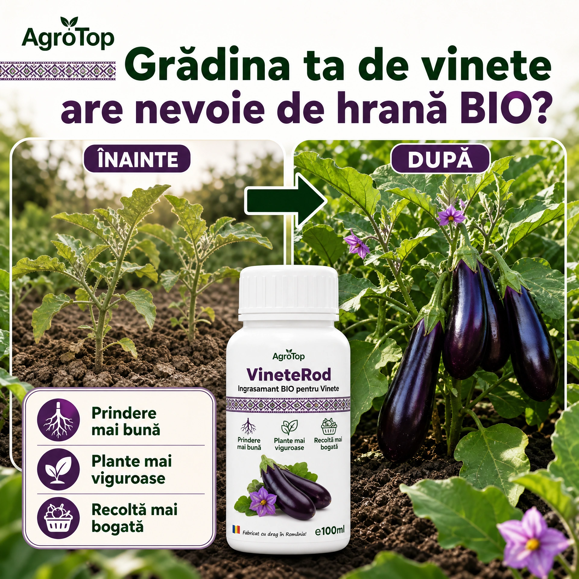 VineteRod, 100ml