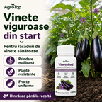 VineteRod, 100ml