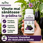 VineteRod, 100ml